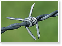 Barbed Iron Wire