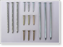 Common Iron Nail