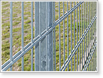 Double Wire Fence