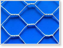 Hexagonal Wire Netting